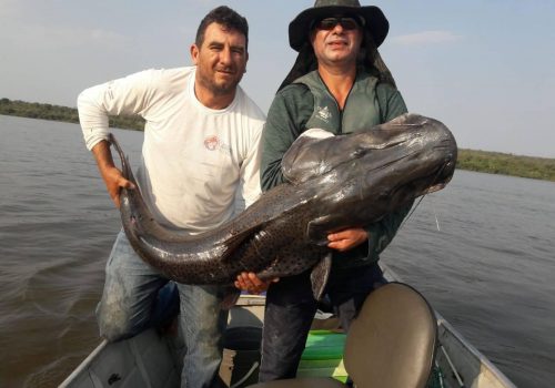 pesca01